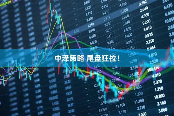 中泽策略 尾盘狂拉！