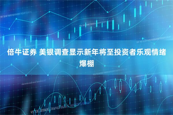 倍牛证券 美银调查显示新年将至投资者乐观情绪爆棚